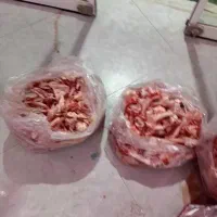 اسکلت مرغ و بوقلمون گوشتی|خوردنی و آشامیدنی|دماوند, دماوند|دیوار