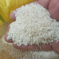 فروش برنج عنبر بوه|خوردنی و آشامیدنی|شوشتر, |دیوار