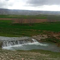 زمین خانه باغ در روستای نرگسی