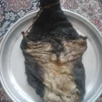 هیزه‌