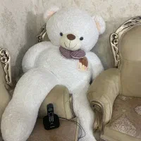 خرس خوشگل و تمیز