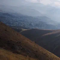 پرنده گمشده