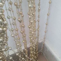 پرده مهره ای