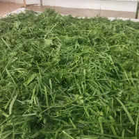 سبزی وباقالی‌پاک میکنم