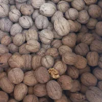 گردو|خوردنی و آشامیدنی|اهواز, کیانشهر|دیوار