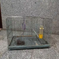 دو قفس پرنده