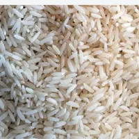 برنج پیش فروش
