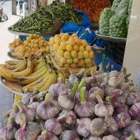 واگذاری مغازه میوه فروشی دوطبقه
