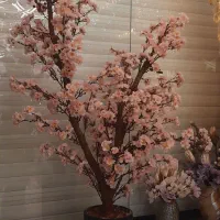 فروشنده درختچه گل ژاپنی و انواع اکسسوری لوکس