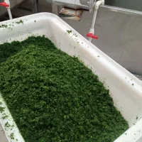 استخدام نیروی خانم دائم|استخدام بازاریابی و فروش|تربت جام, مطهری|دیوار