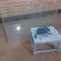 یک آکواریوم با یک دستگاه اکسیژن ساز