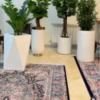 پزشک عمومی خانم