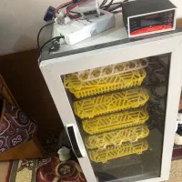 دستگاه جوجه کشی