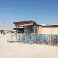 اجاره سردخانه و سالن (جاده بنداروز)|اجارهٔ دفتر صنعتی، کشاورزی، تجاری|برازجان, |دیوار