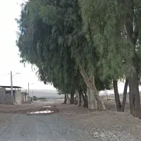 فروش زمین باغی