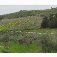 فروش-زمین-1-3-هکتاری
