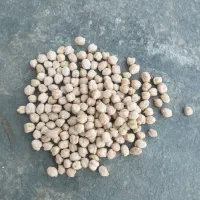 نخود دیم|خوردنی و آشامیدنی|بیستون, |دیوار