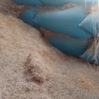 ۱۱خارال کاه زیاد نیست فقط ۱۱خارال