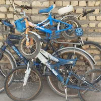 شش عدد دوچرخه