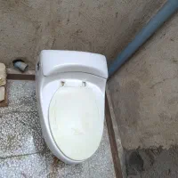 توالت فرنگی