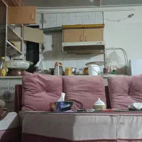 همخونه خانم