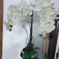 گلدان ارکیده مصنوعی