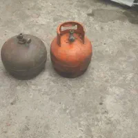 دوعدد پیکنیکی
