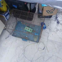 قفس پرنده