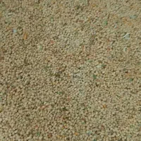 مقدار لوبیا اشی کشت خودم دلال نیستم تمز وتازه|عمده‌فروشی|بدره, |دیوار