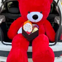 خرس و تدی ولنتاین