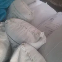 گندم ساورز