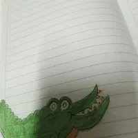 چند عدد دفتر ۸۰ و۵۰ برگ دارم|لوازم التحریر|تفرش, |دیوار