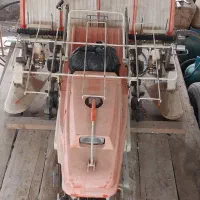 نشاکار برنج دایدونگ