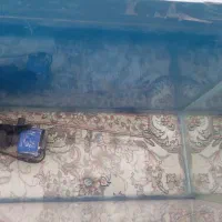 اکواریوم|ماهی|همدان, |دیوار