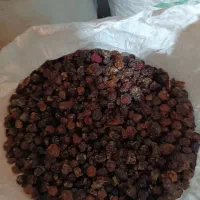 آلوچه و گیلاس|خوردنی و آشامیدنی|تهران, ائمه اطهار|دیوار