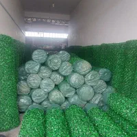 چمن مصنوعی با کیفیت|خدمات باغبانی و درختکاری|هشتگرد, شهرک افشاریه|دیوار