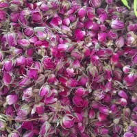 خرید و فروش غنچه لاله‌زار