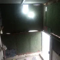 قفس|لوازم جانبی حیوانات|بندر گناوه, |دیوار