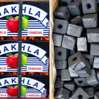 پخش عمده ذغال نخله اصلی در مریوان