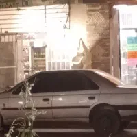 درخواست مسافر