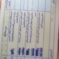 راننده پایه دوم با چهار سال گواهینامه