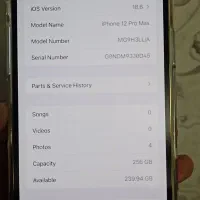 IPhone 12 Pro Max|موبایل|مشهد, آبکوه|دیوار