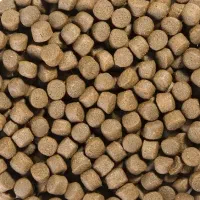 غذای تخصصی بچه کپور