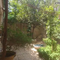 حیاط کلنگی|فروش زمین و ملک کلنگی|تهران, پامنار|دیوار