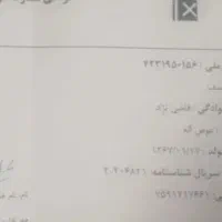 مفقود شدن مدارک