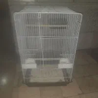 قفس عروس هلندی ،طوطی،