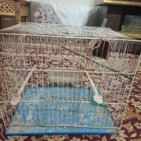 قفس پرنده