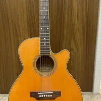 گیتار آکوستیک پائوچیا
