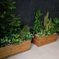 (شامادورا) بوته 18 برگ انجیری فلاورباکس درختچه ایی|گل مصنوعی|تهران, بروجردی|دیوار