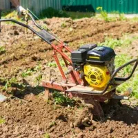 خدمات باغبانی و سمپاشی|خدمات باغبانی و درختکاری|مشهد, فدک|دیوار